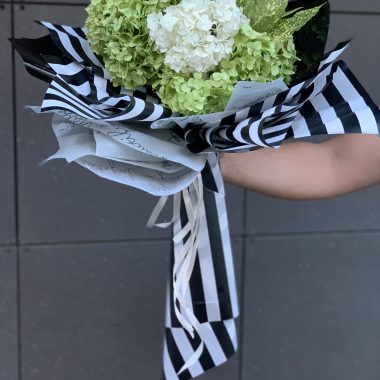 Zeleno bele hortenzije u crno belom buketu
